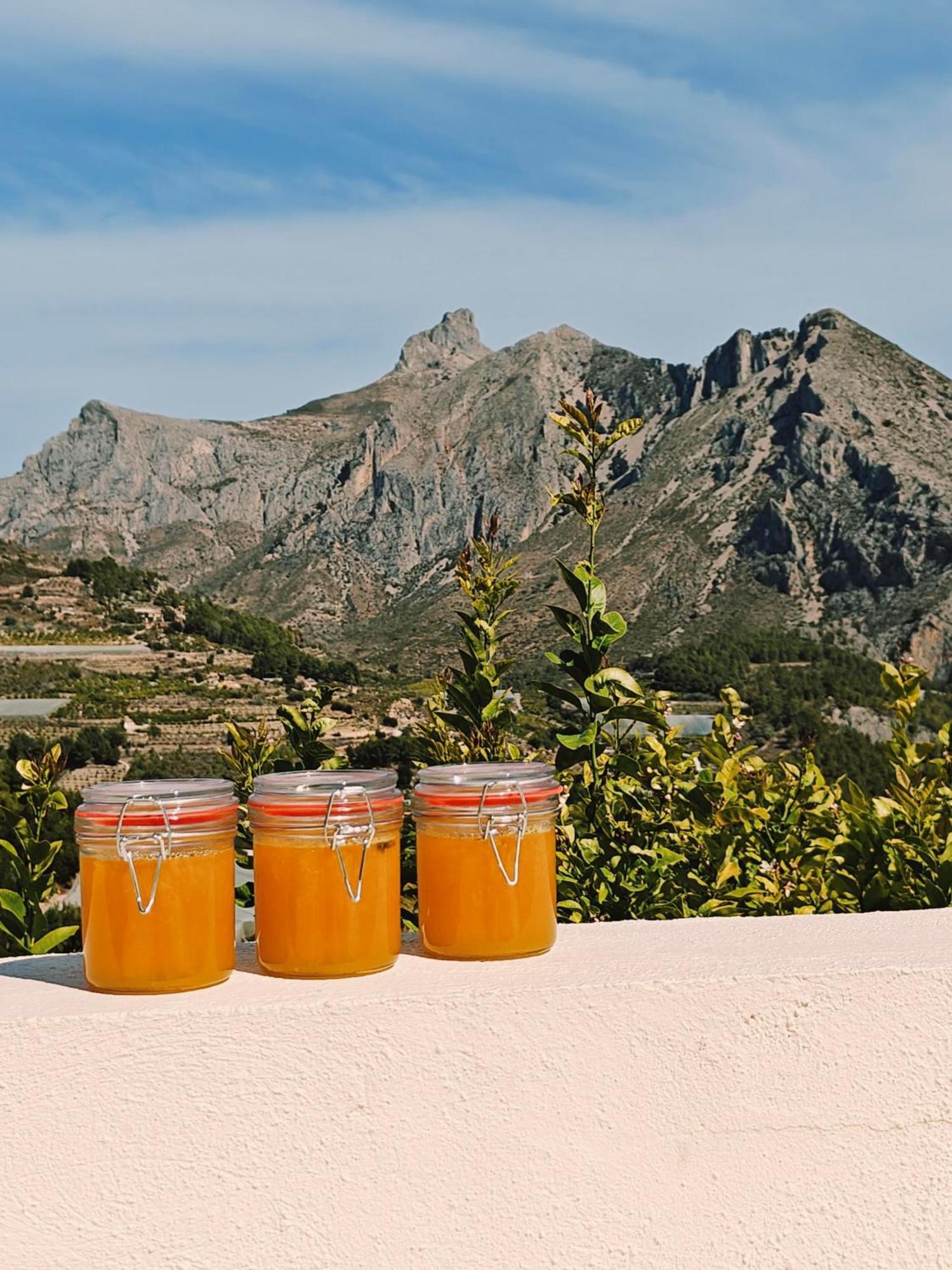 Finca Oliva Bolulla エクステリア 写真