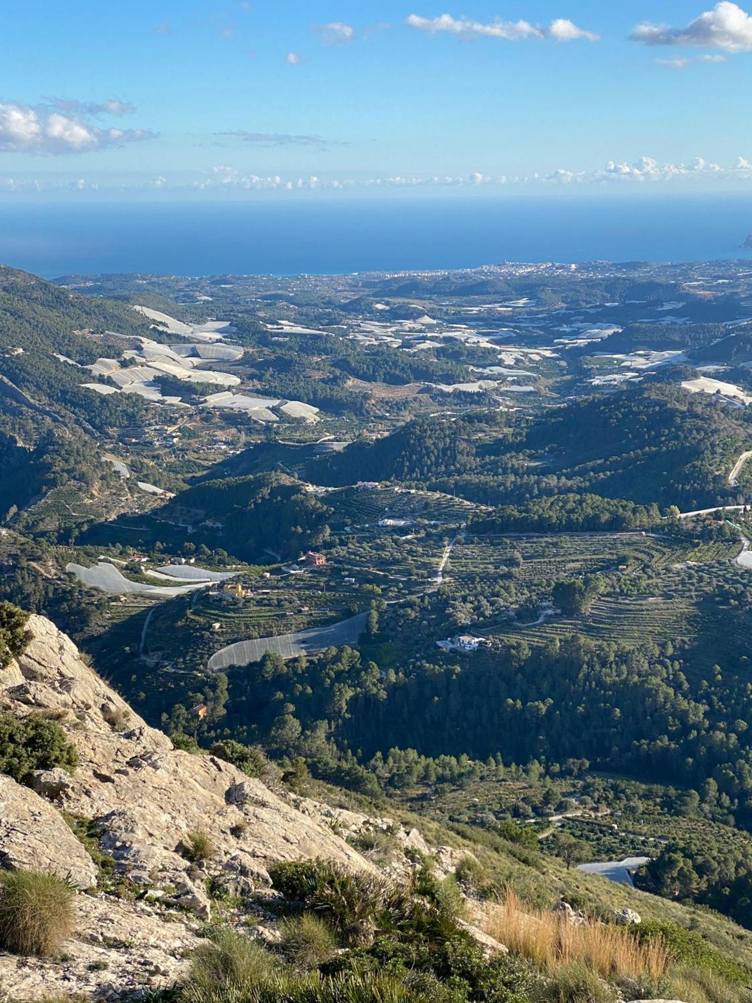 Finca Oliva Bolulla エクステリア 写真