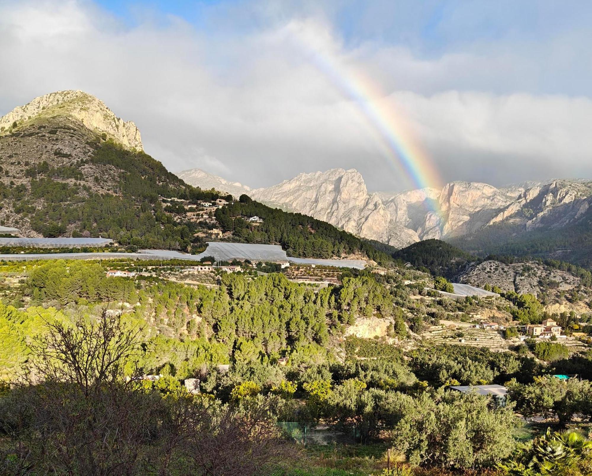 Finca Oliva Bolulla エクステリア 写真