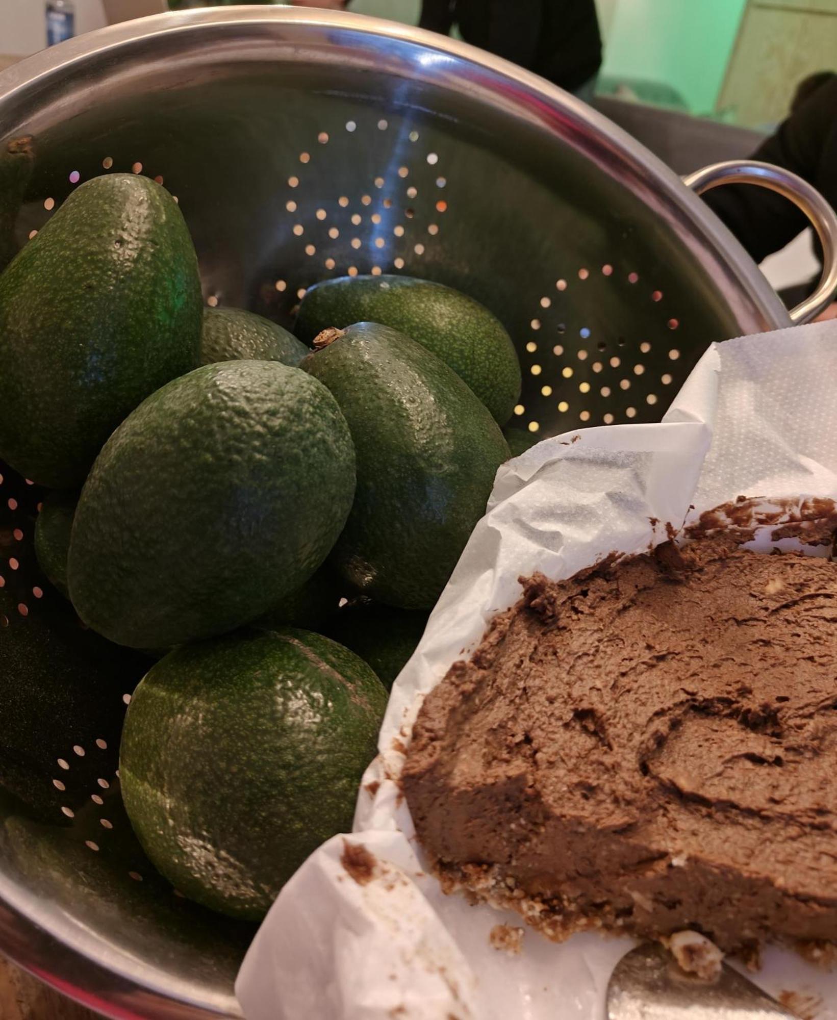 Finca Oliva Bolulla エクステリア 写真